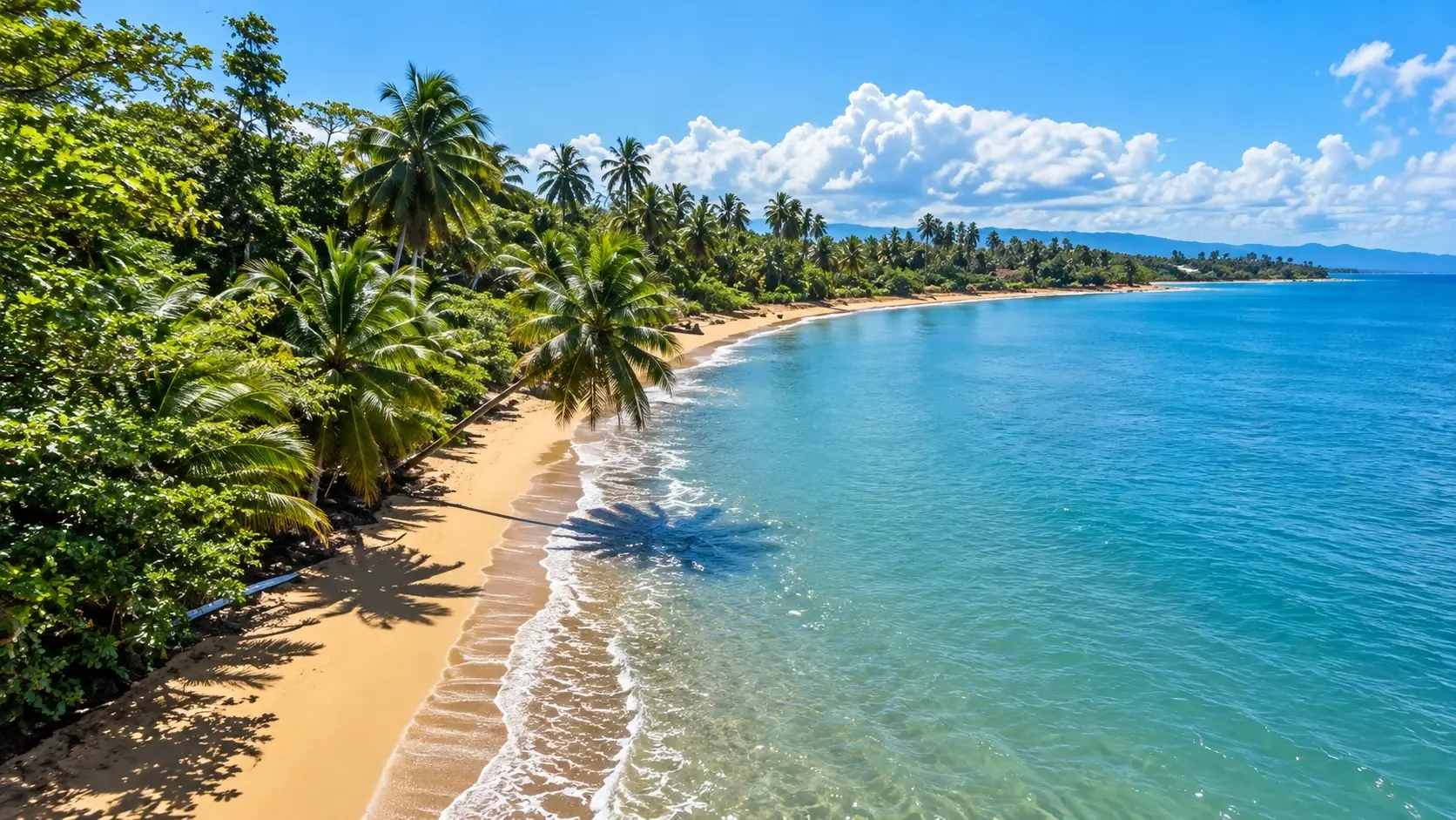 Tropical beach at Balneario Tres Hermanos in Añasco, Puerto Rico, with palm trees, golden sand, lush vegetation, and clear blue coastal water.
