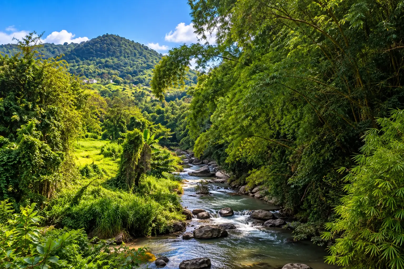 Scenic rural mountain area in Barrancas, Barranquitas, Puerto Rico.
