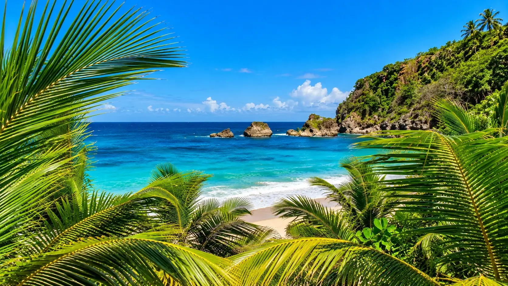 Tropical coastal view representing Borinquen in Aguadilla, Puerto Rico, with turquoise water, a sandy beach, rocky formations, lush palm trees, and a bright Caribbean sky.