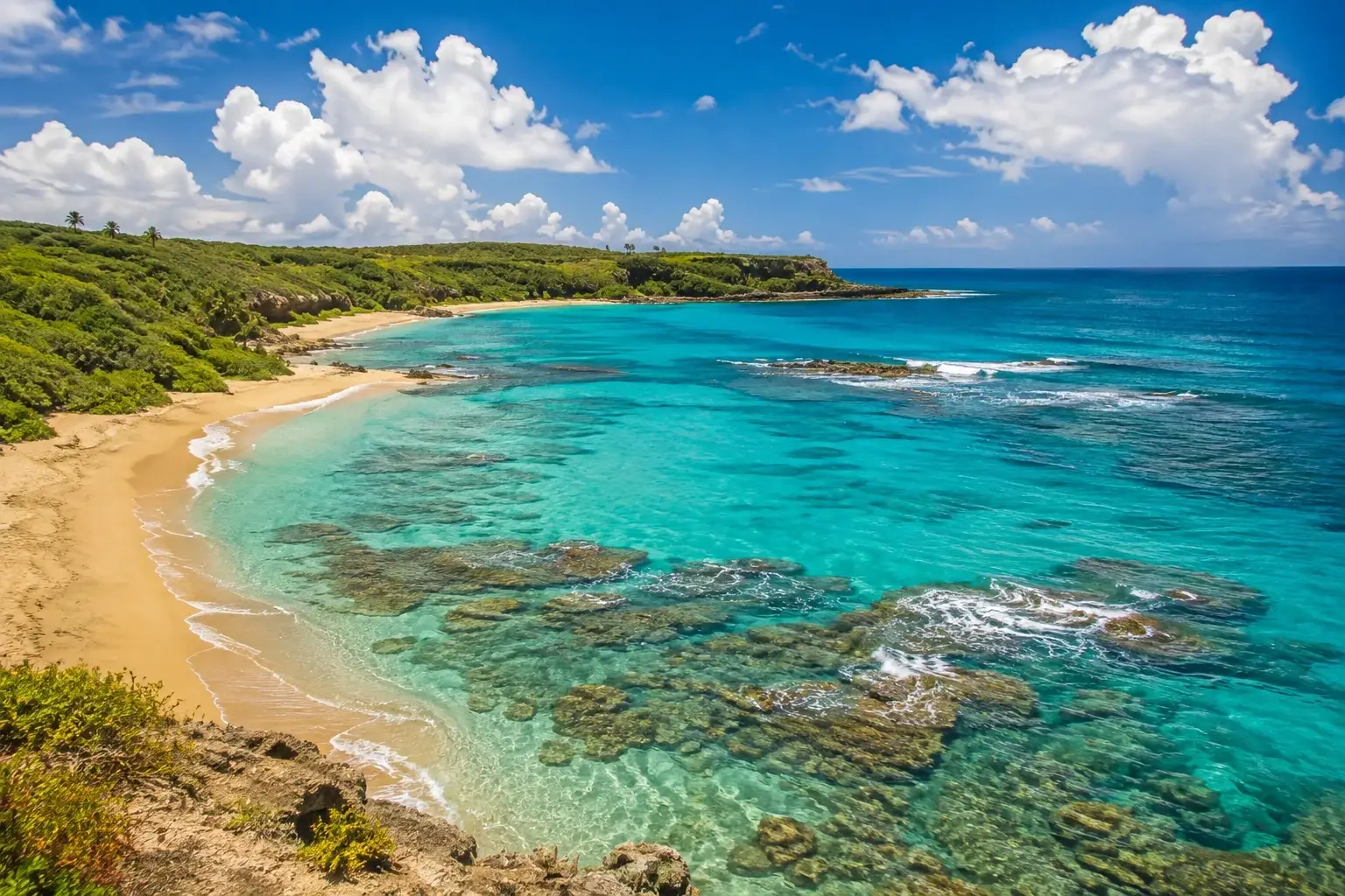 Scenic tropical view representing Guaniquilla Beach in Aguada, Puerto Rico, with turquoise water, golden sand, coastal rocks, and lush green vegetation.