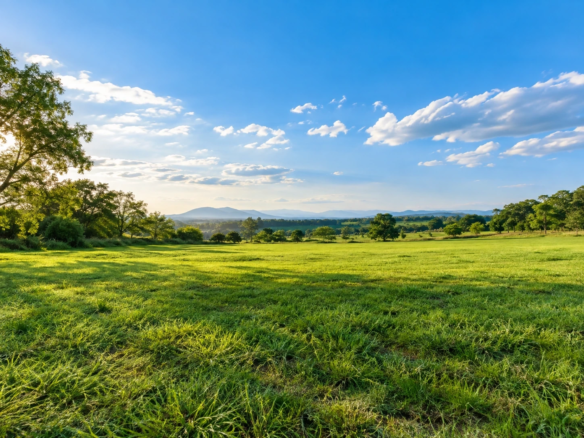 Open green land framed by mature trees and distant hills.