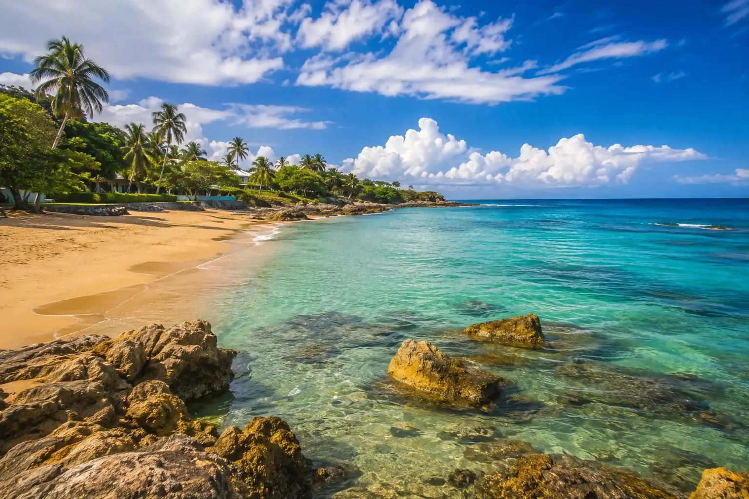 Tropical coastal view representing Pico de Piedra Beach in Aguada, Puerto Rico, with clear blue water, sandy shoreline, rocks, lush greenery, and palm trees.
