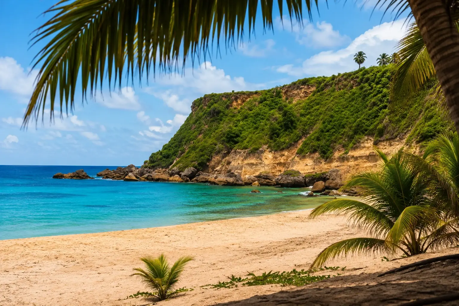 Punta Borinquen in Aguadilla, Puerto Rico, featuring a sandy beach, turquoise Caribbean water, palm trees, rocky shoreline, and green coastal cliffs.
