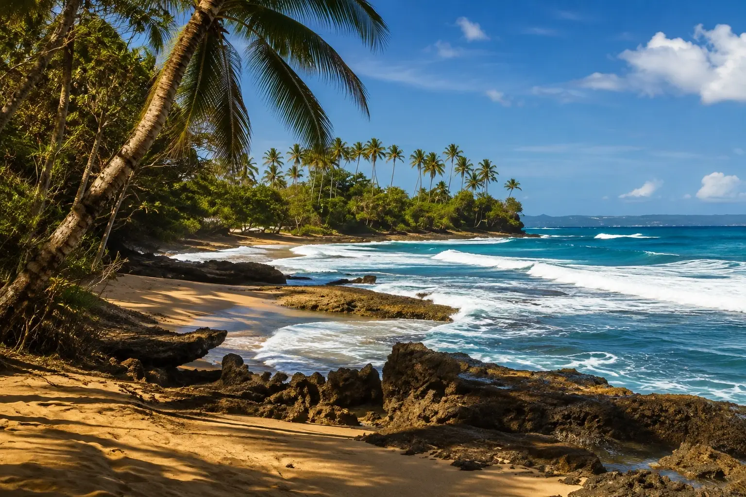 Surfer’s Beach & Wilderness Coast in Aguadilla, Puerto Rico, with golden sand, rocky shoreline, turquoise waves, tropical palm trees, and a lush coastal headland.