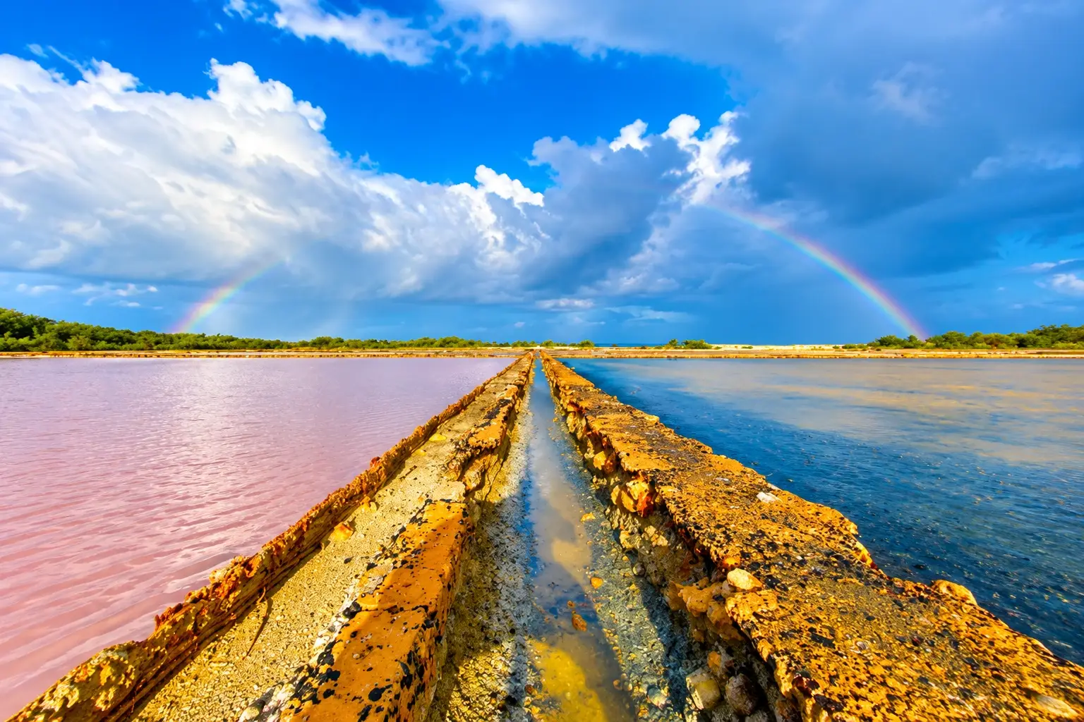 Natural habitat at Cabo Rojo National Wildlife Refuge in Puerto Rico.