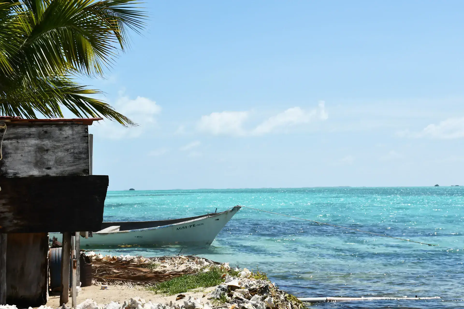 A white boat sits beside turquoise seawater, palm fronds, and a coastal shelter.