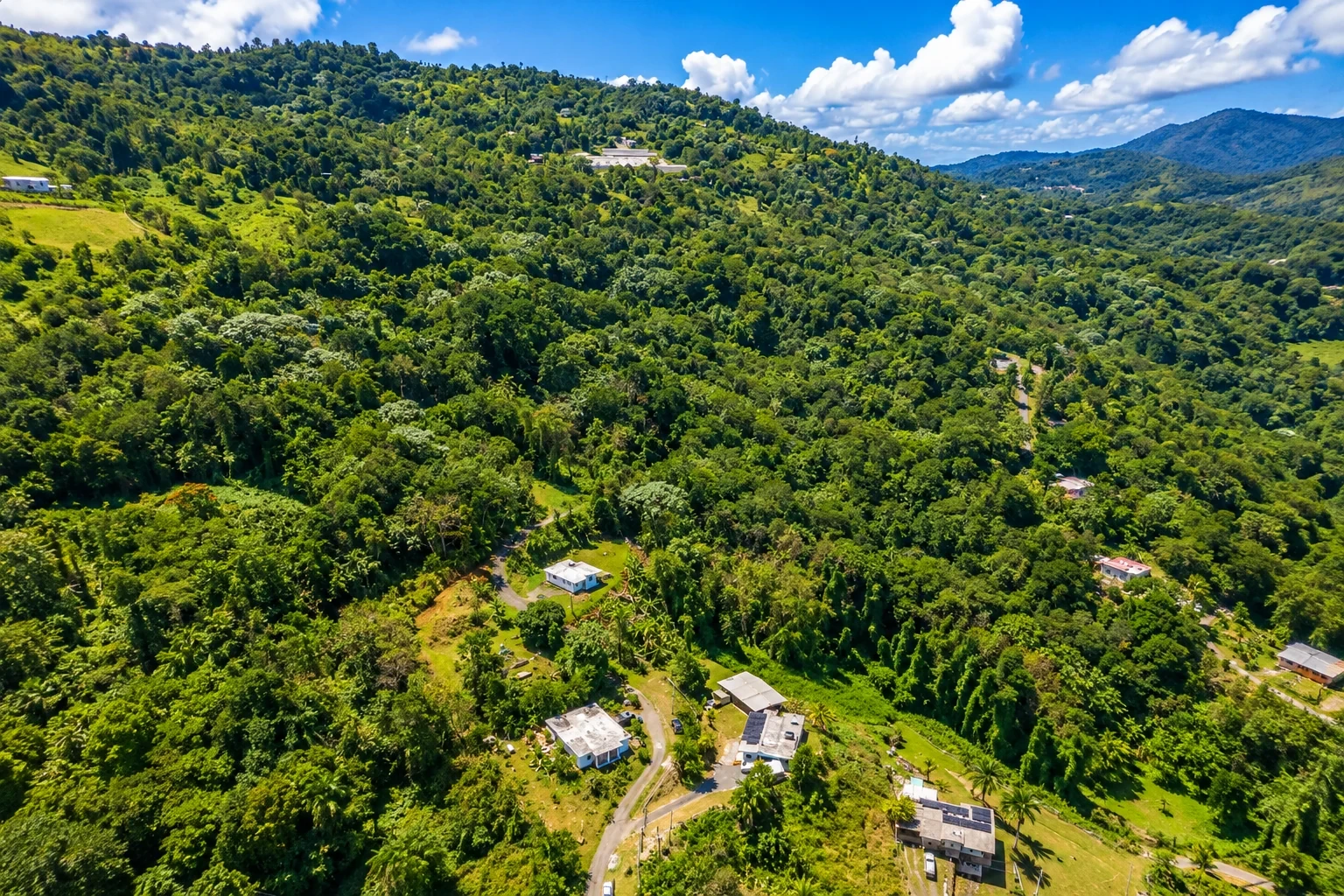 Forested hills and homes in Cubuy, Canóvanas, Puerto Rico.