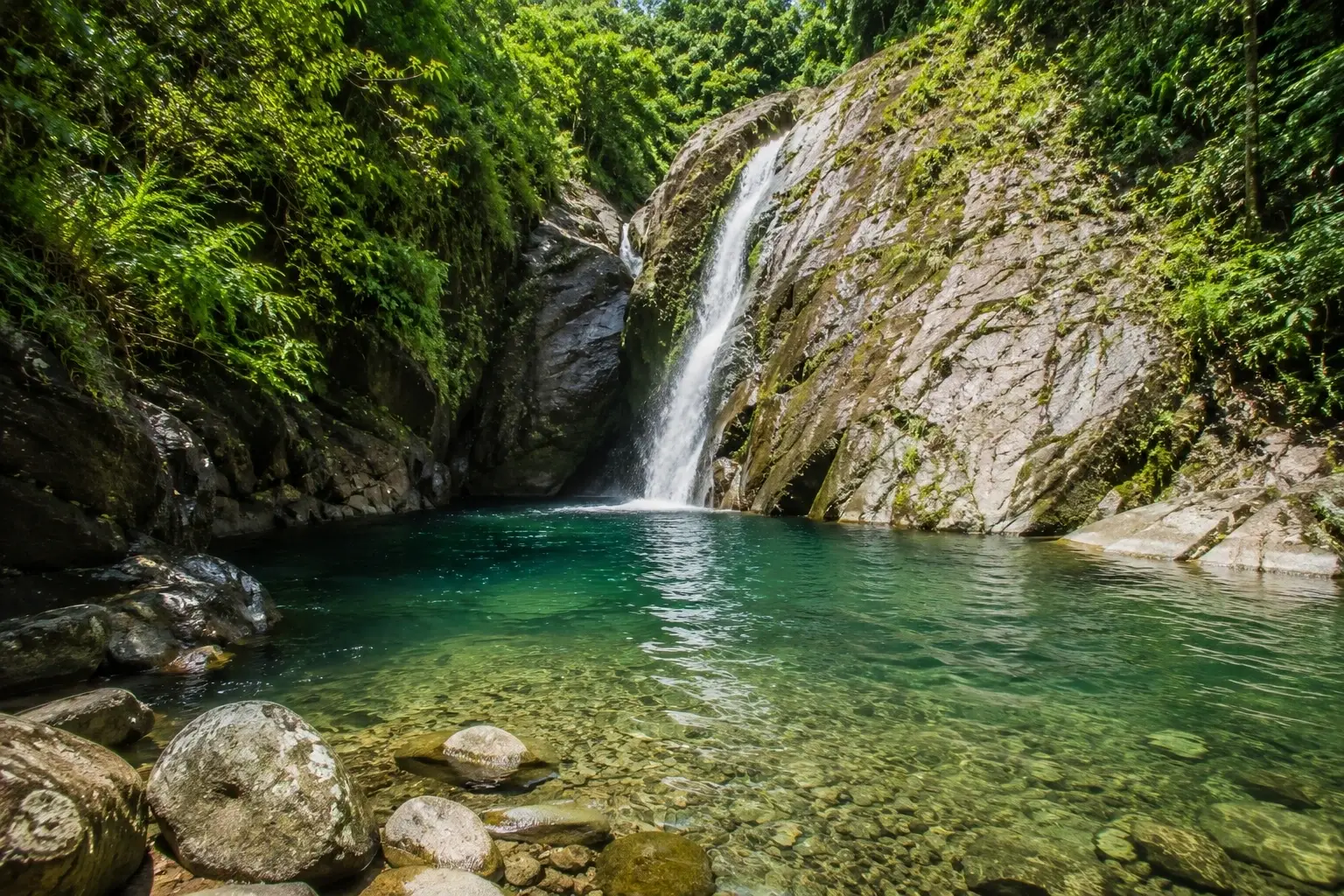 Scenic tropical waterfall flowing into a clear natural pool surrounded by lush vegetation in Adjuntas, Puerto Rico.