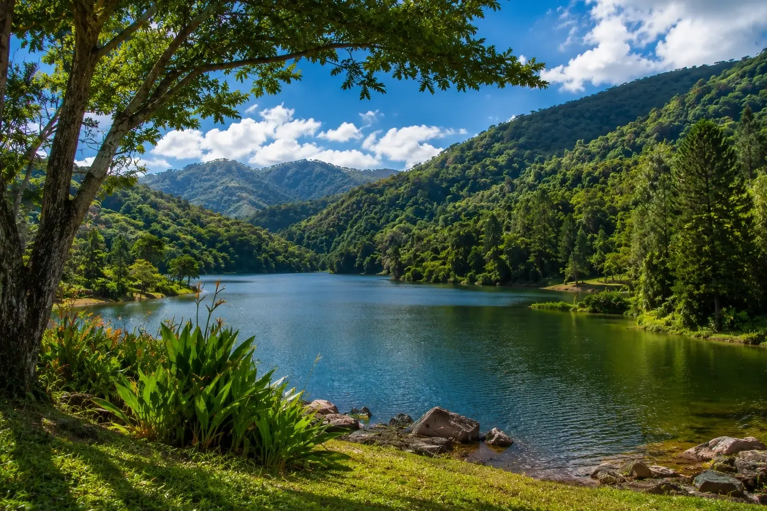 Peaceful mountain waters surrounded by lush tropical hills and vegetation in Garzas, Adjuntas, Puerto Rico.