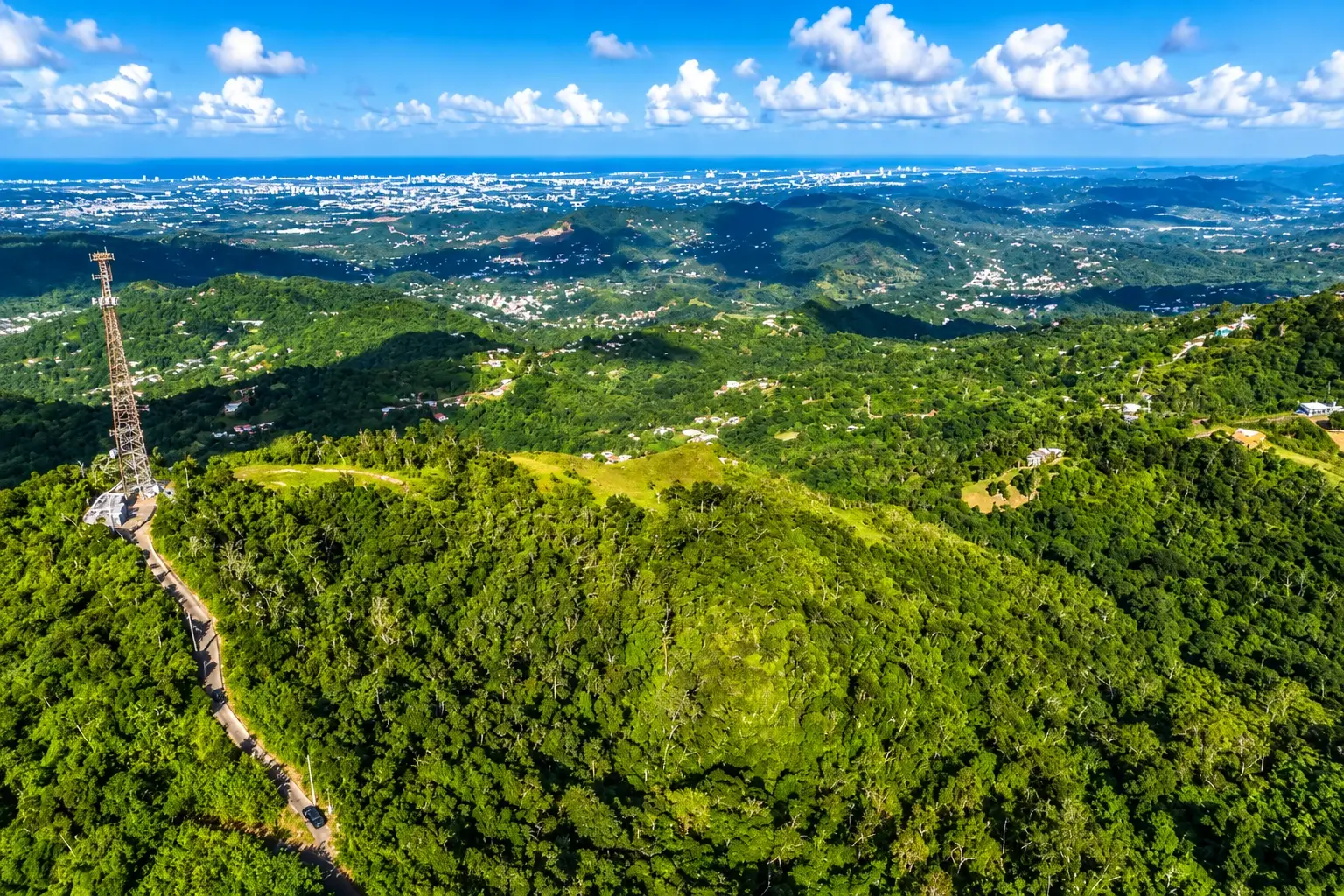 Green residential landscape in Guaraguao, Bayamón, Puerto Rico.