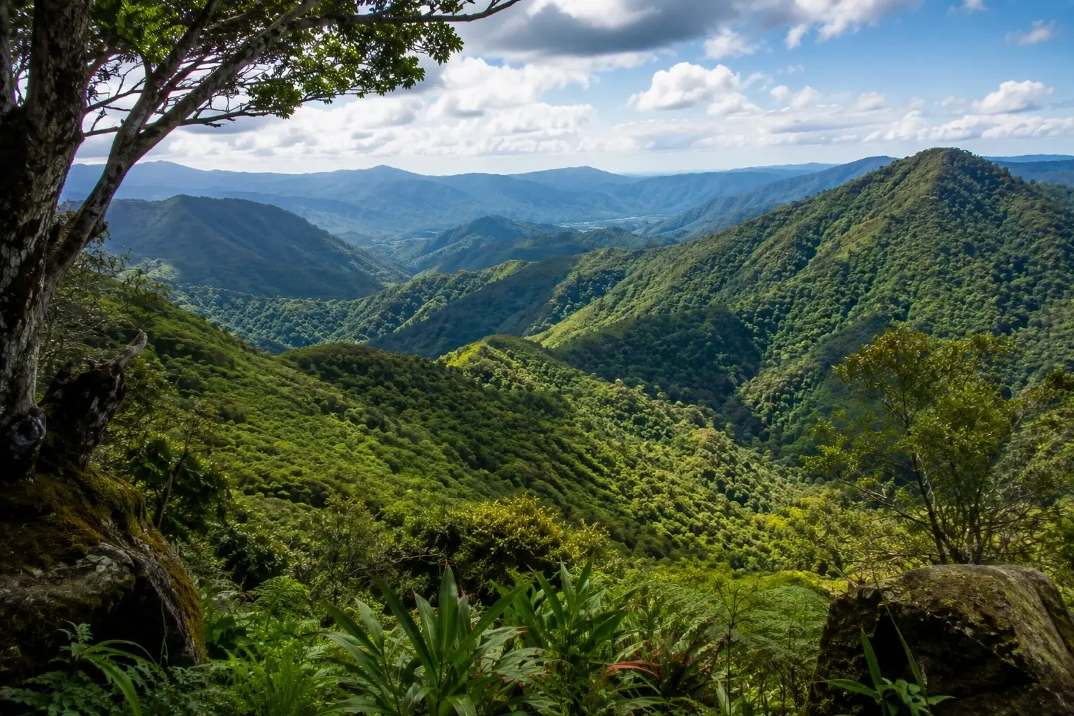 Panoramic view of lush green mountain ridges and tropical forest in Guilarte, Adjuntas, Puerto Rico.