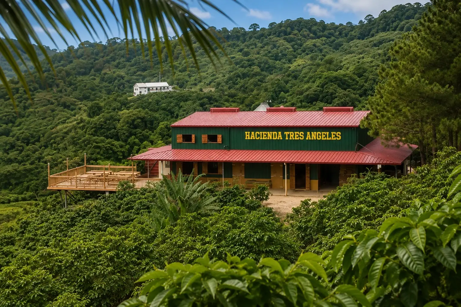 Hacienda Tres Ángeles coffee farm surrounded by lush tropical vegetation and green mountains in Adjuntas, Puerto Rico.