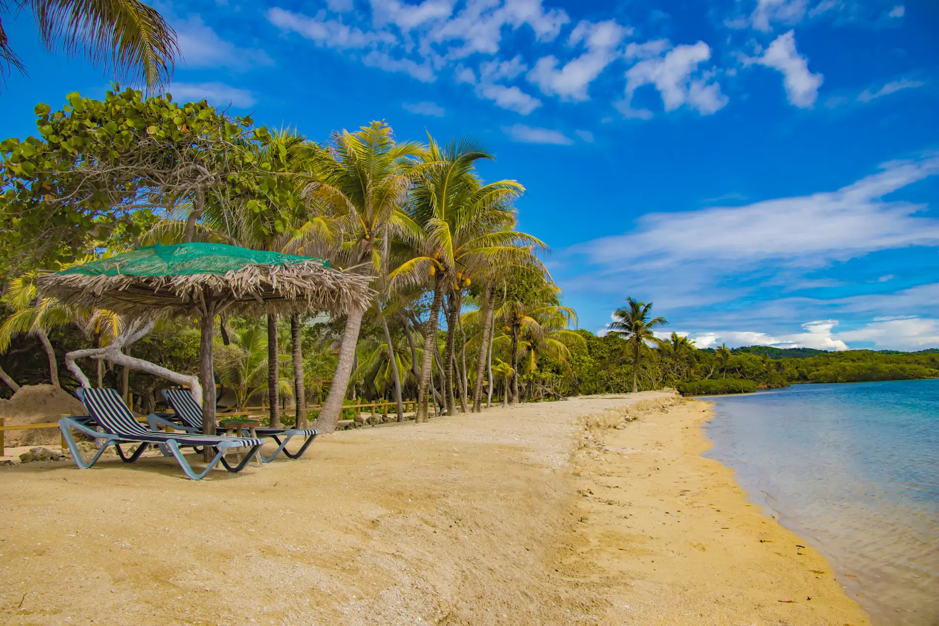 Palm trees, beach loungers and clear water on Roatán, Honduras