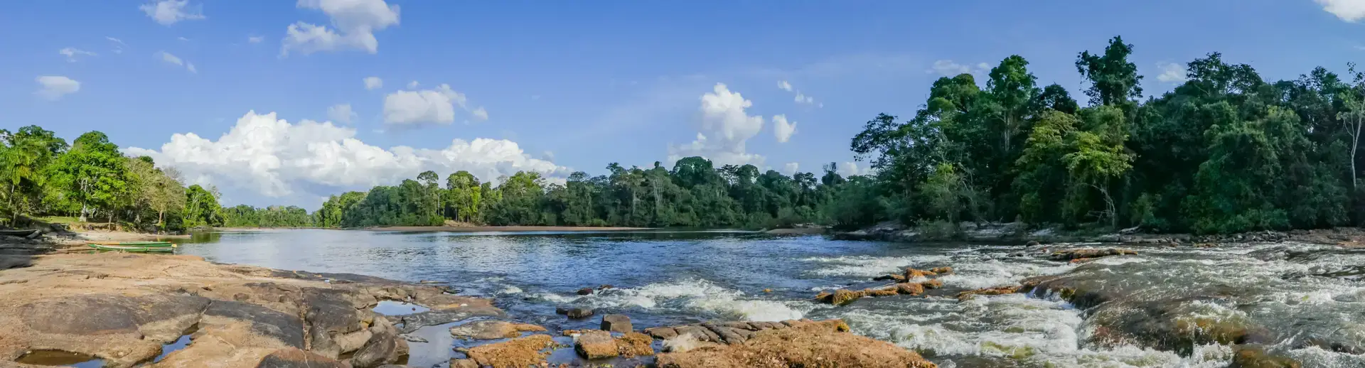 Panoramic view of the Suriname River and green rainforest near Gunsi